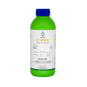 ATP-K