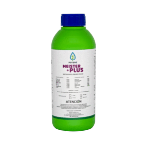 MEISTER PLUS