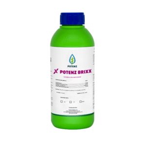 POTENZ BRIXX