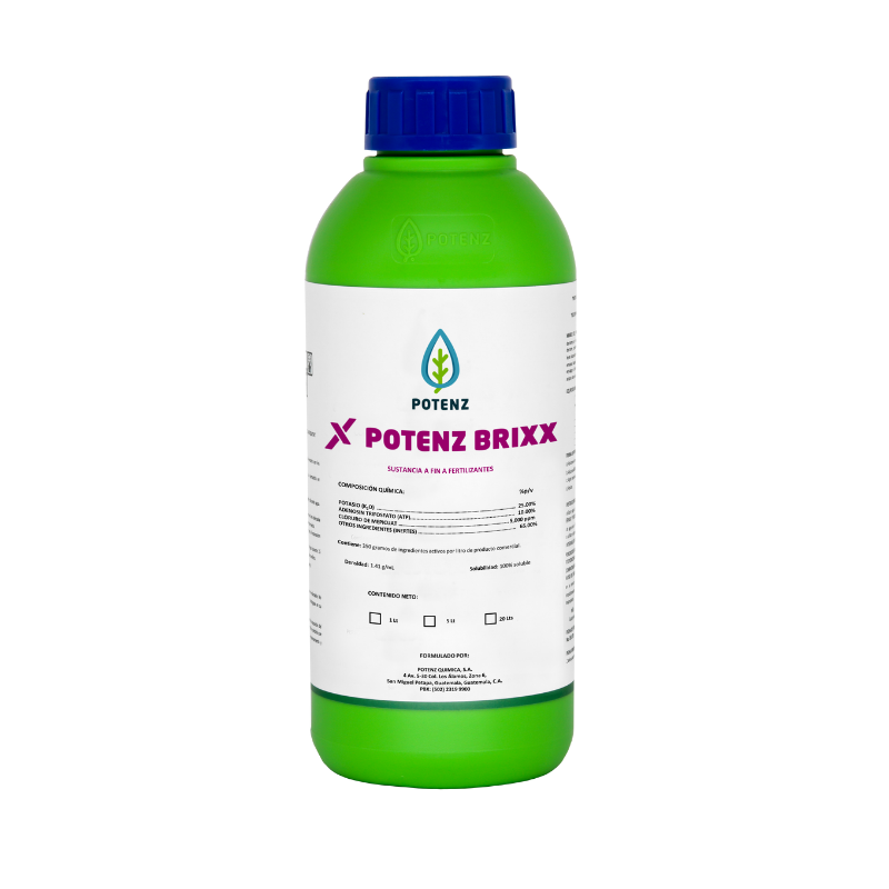 POTENZ BRIXX